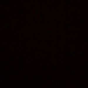 Meet your Posher, Hazel